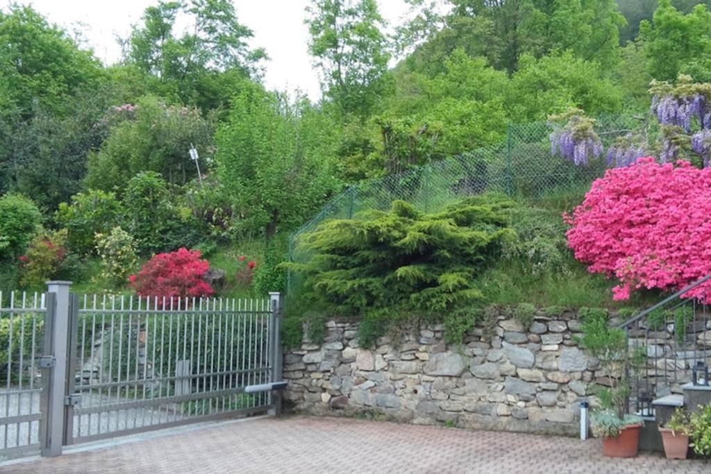 Lake Orta Openspace Garden Beach เปตเตนาสโก ภายนอก รูปภาพ